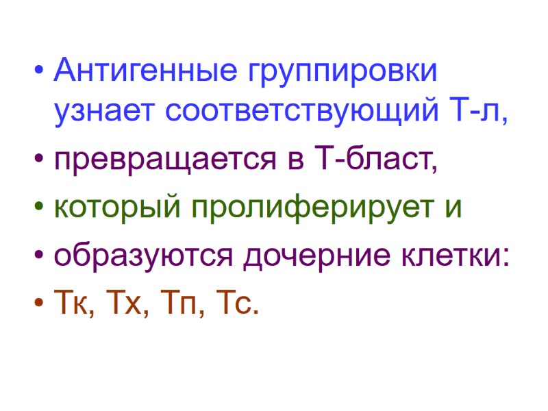 Антигенные группировки узнает соответствующий Т-л,  превращается в Т-бласт,  который пролиферирует и 